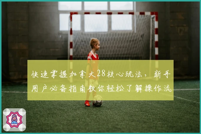 快速掌握加拿大28核心玩法，新手用户必备指南教你轻松了解操作流程