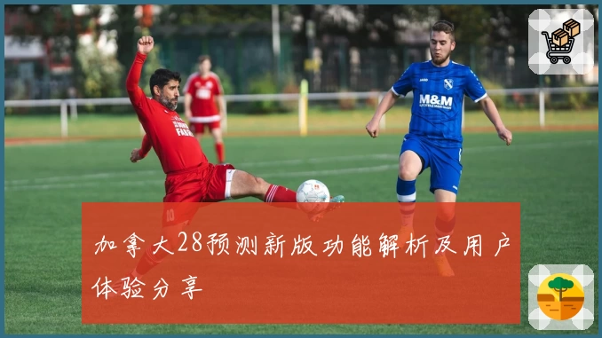 加拿大28预测新版功能解析及用户体验分享