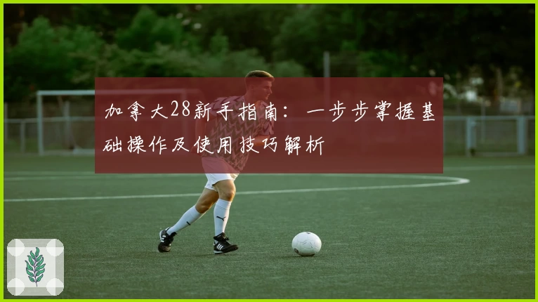 加拿大28新手指南：一步步掌握基础操作及使用技巧解析