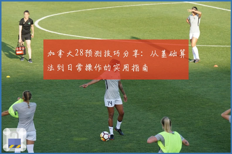 加拿大28预测技巧分享：从基础算法到日常操作的实用指南