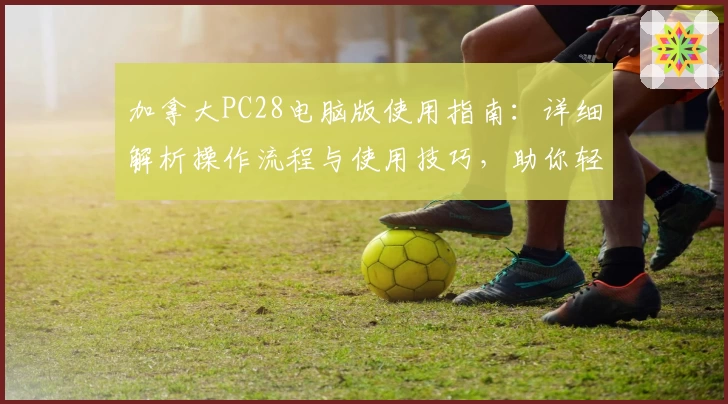 加拿大PC28电脑版使用指南：详细解析操作流程与使用技巧，助你轻松上手