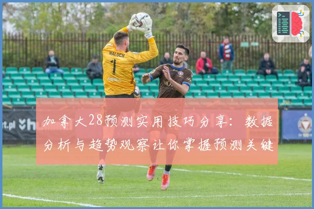 加拿大28预测实用技巧分享：数据分析与趋势观察让你掌握预测关键