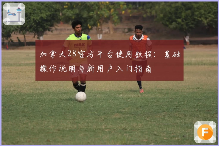 加拿大28官方平台使用教程：基础操作说明与新用户入门指南