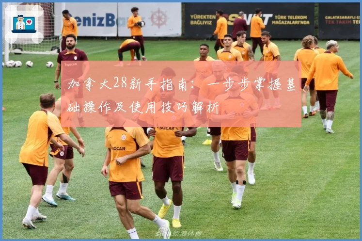 加拿大28新手指南：一步步掌握基础操作及使用技巧解析