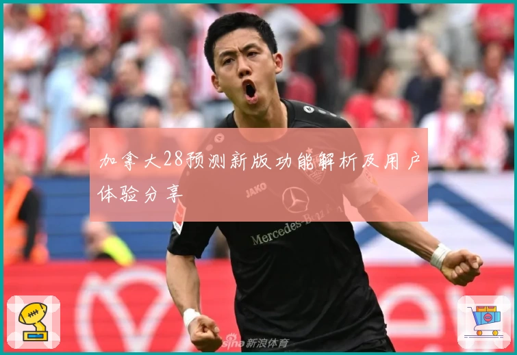 加拿大28预测新版功能解析及用户体验分享