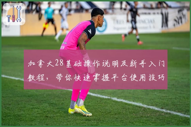 加拿大28基础操作说明及新手入门教程，带你快速掌握平台使用技巧